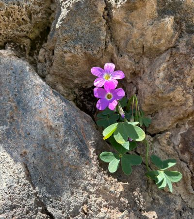 WhatsApp Image 2025-06-23 at 23.04.14