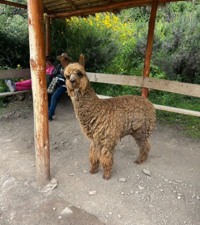 WhatsApp Image 2025-06-23 at 23.04.22